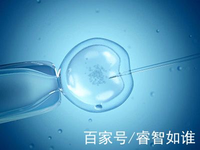 代生儿子机构生殖医学中心